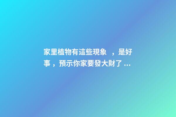 家里植物有這些現象，是好事，預示你家要發大財了！